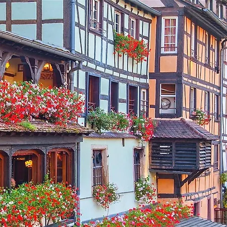 Apartman Le Montfort *